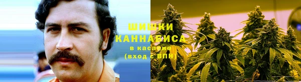 шишки Богородицк